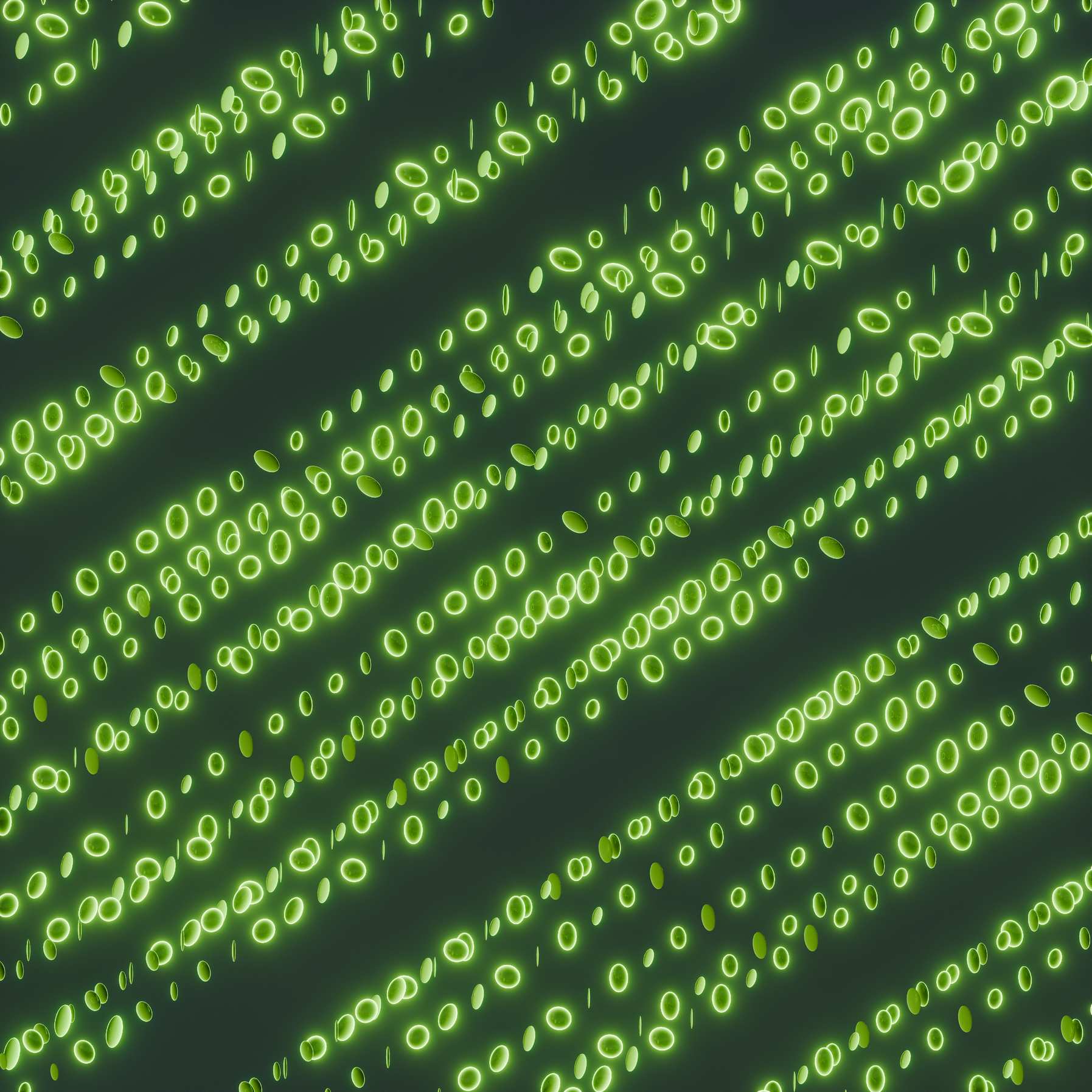 Close view of a terminal window with source code